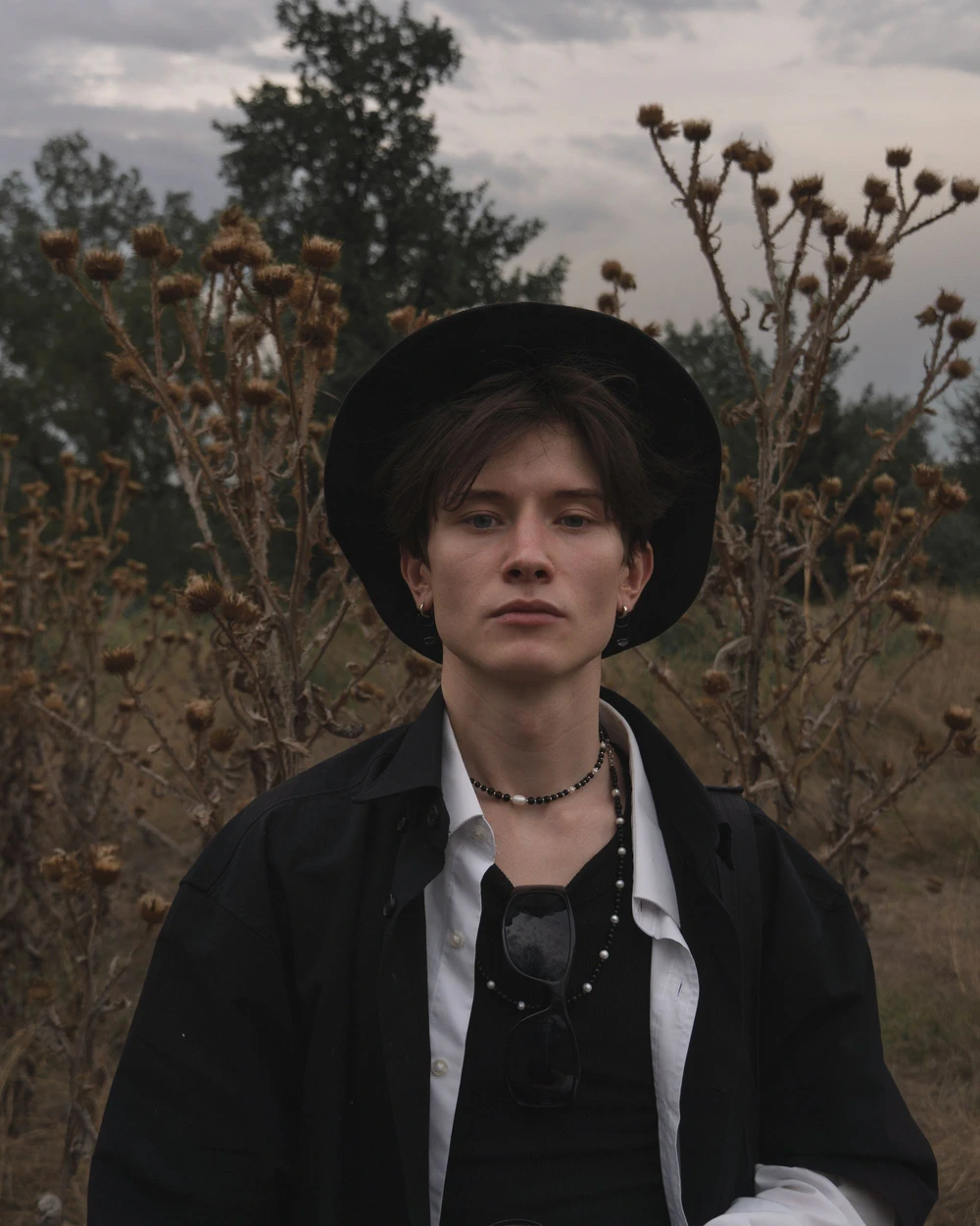 5.webp